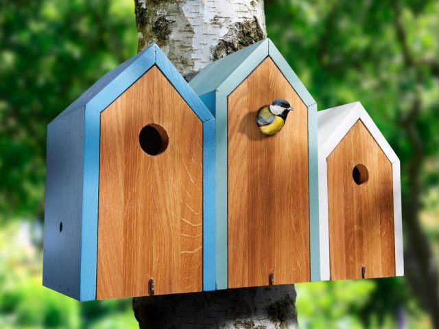 Як зробити шпаківню з підручних матеріалів