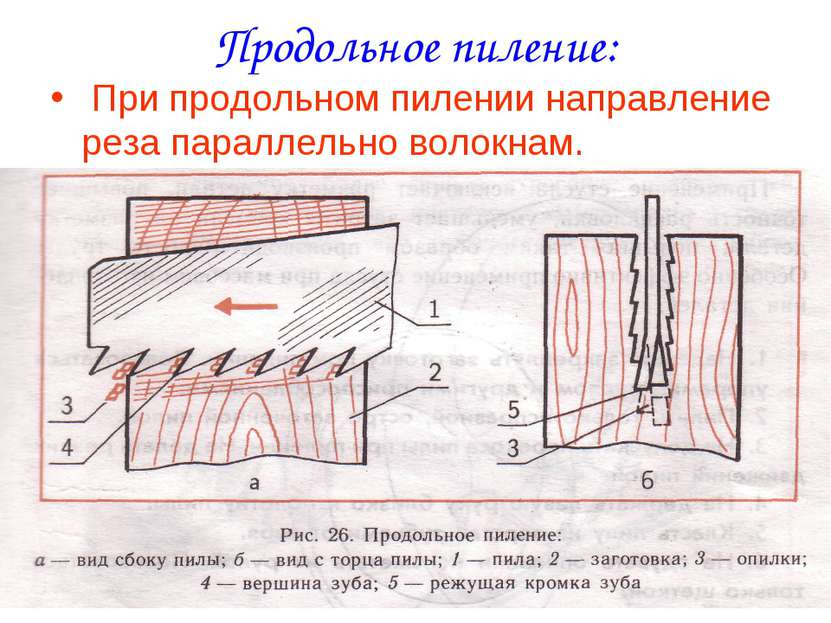 Як розпиляти колоду на дошки своїми руками та не зіпсувати матеріали